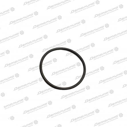 уплотнительное кольцо 407612500 REINZ