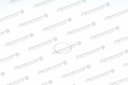 уплотнительное кольцо N0438092 VAG